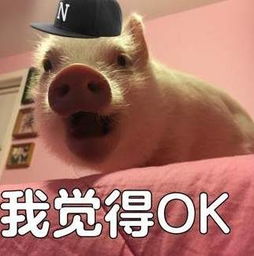  小朋友一吃就停不下来的健康无油薯片