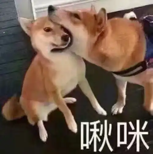  520婚恋中的这些事,法律怎么说
