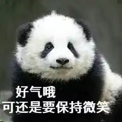 panda可爱表情包打瘦脸针