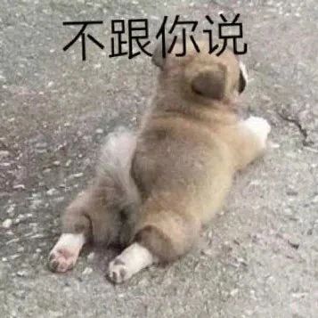  可爱表情包拿图片小老弟,你是不是飘了