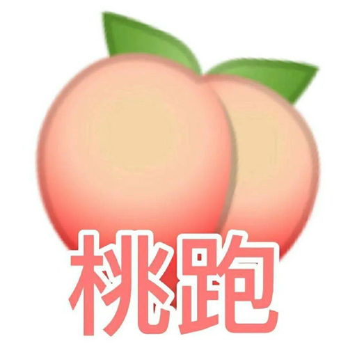  可可爱爱水果表情包