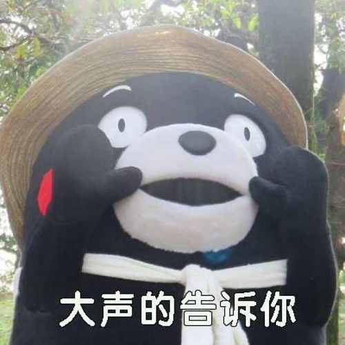 微信斗图表情包图片沉香