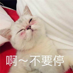  最新搞笑聊天表情包45你走吧,我妈不让我跟傻子玩