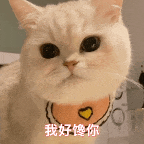  微信可爱聊天表情包马上舔我