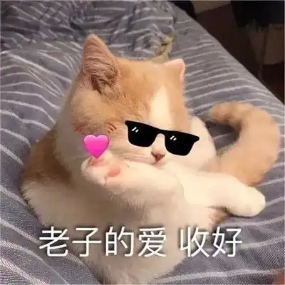 群聊斗图专用表情包2022最新天天为了那几个臭钱心脏都要停了