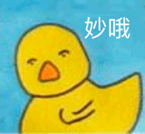  我在闲鱼中参破了红尘