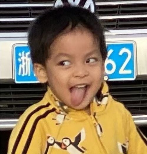 二哈表情包原型李佳航