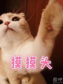  跌停板我托了两千手,不知道能不能让我买到