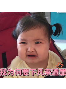  我为何要下凡来遭罪小刚几表情包堆糖,美好生活研究所