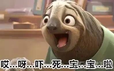 苏宁误入疯狂动物城,武汉宏兴是树懒又是闪电
