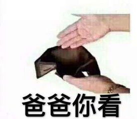  和爸妈聊天的表情包亲爱的爸妈,您的孩子没钱了