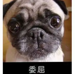  新闻哥哥们,你这是贼心不死啊