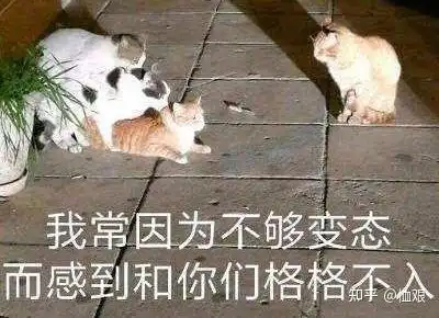 在线表情包沙雕高数