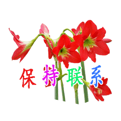 搞笑动态早上好表情聊天