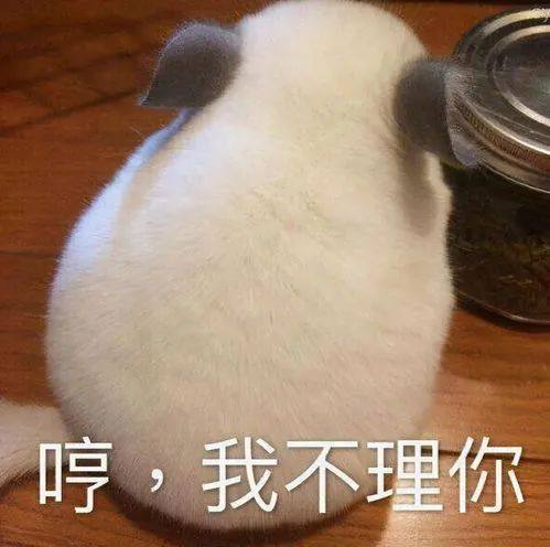  家长小心珠海有小孩看直播打赏遭远程恐吓父母欲哭无泪