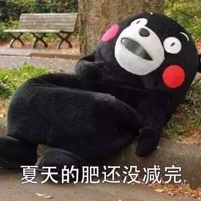  表情包丨开始总是分分钟都妙不可言