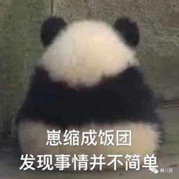  能被范冰冰赞叹有钱,李晨家底究竟有多厚
