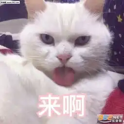  上线吃鸡上线吃鸡over表情包图片好巧我们一样表情包下载乐游网游戏下载