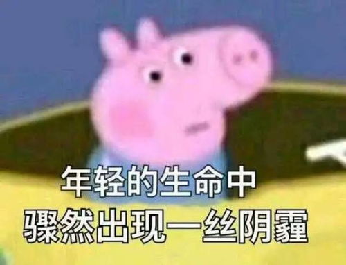  收好这套小猪佩奇表情包,怼人撕逼剁手卖萌都充满了底气