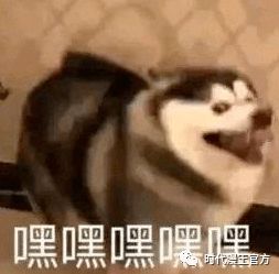  一周漫评我们的粉丝有多皮看封面就知道了