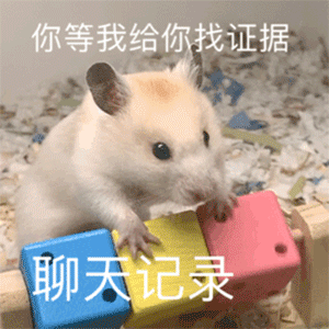  幽默笑话陪媳妇回娘家,晚上老丈人当着我的面砸断了一条桌腿