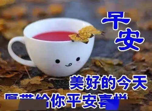  中老年表情包,幸福从早安开始,好心情一整天