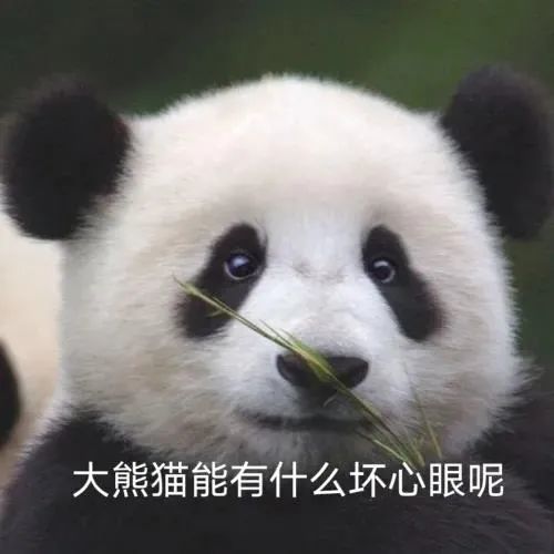  聊天斗图表情包要饭了,要饭了
