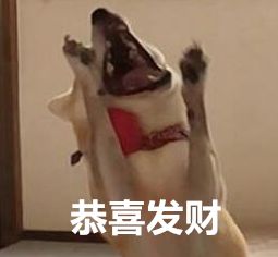  新年狗狗表情包,我已经存好了