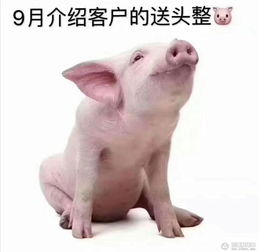  奥铃大黄蜂我轻我帅我靠谱跑得快我能助力你娃成为富二代