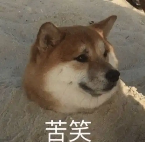 在线表情包沙雕盟军