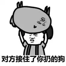  不想鸟你表情包