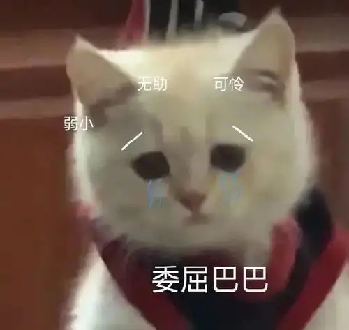  表情包情侣表情包动图抖音0618期