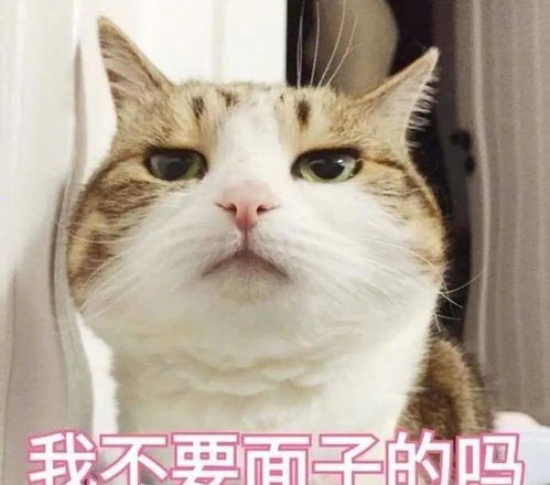  四川一男子乘坐地铁,躺在椅子上,腿竖起来玩手机,当成自家了