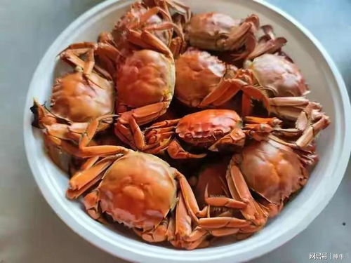  往年中秋热销的河蟹,为啥今年很少见了鱼贩4个原因,很正常