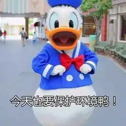  废报纸废木料千万不要扔放在橱窗里比你花钱买来的还高级