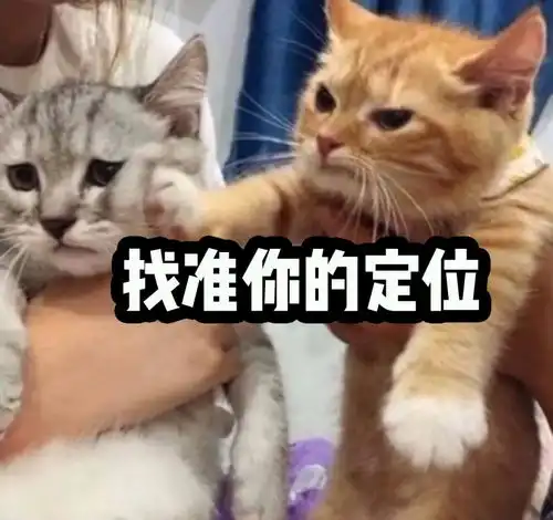  吴宣仪的包包有多贵加起来能买一套房