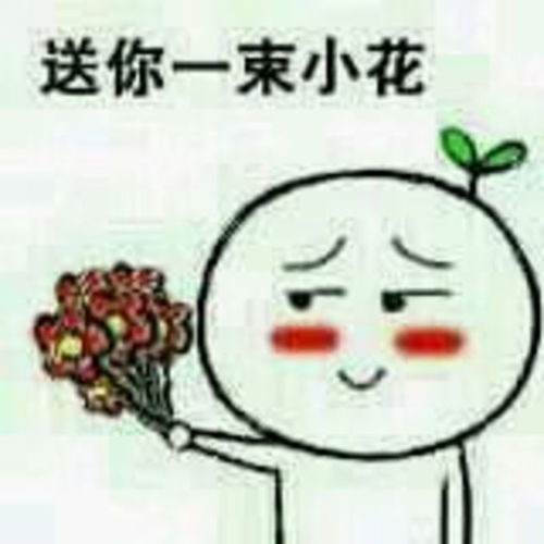 花花送给你表情包一朵小花