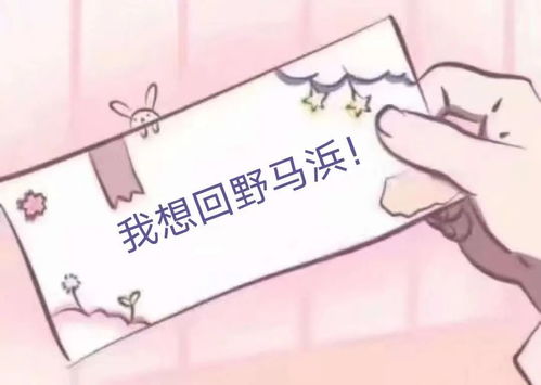 送一束鲜花的表情包抖音