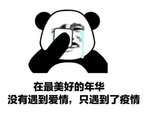  今日份热门表情包