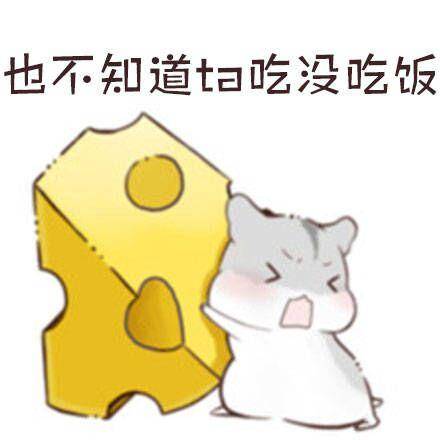  粉丝大回馈小仓鼠高清无码图赶紧拿回去做表情包吧