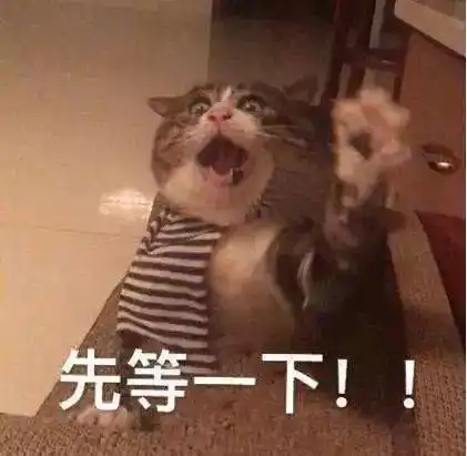 狗头表情包原型暴雨