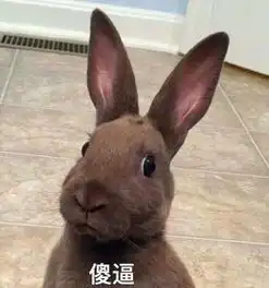 金陵十三钗中,十二名妓女为了救女学生而替其赴局,这是一种怎样的精神 金陵十三钗中,十二名妓女为了救女学生而替其赴局,这是一种怎样的精神