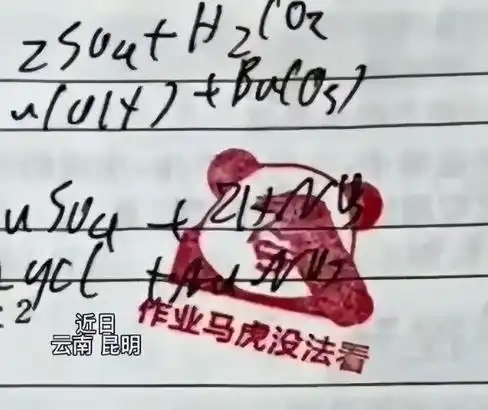  新鲜表情包也可以批改作业,云南一初中化学老师真会玩