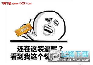表情包战争免费玩一玩禁