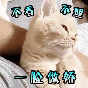 萌宠表情包gif杀驴