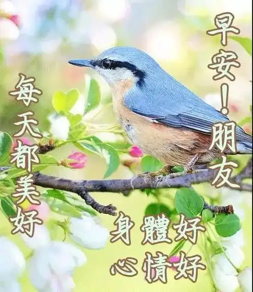 表情包早安周一超