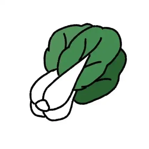  猪拱跑了我家白菜