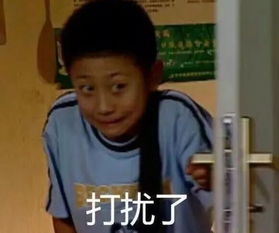 活捉表情包田里