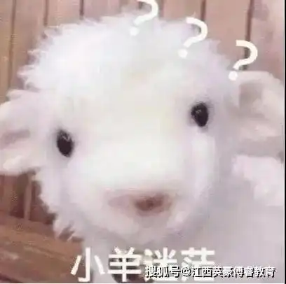  暑期,弃考高峰期来了你慌不慌