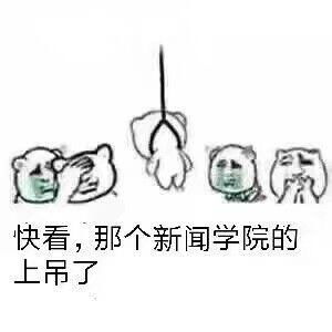  有哪些好玩的专业表情包